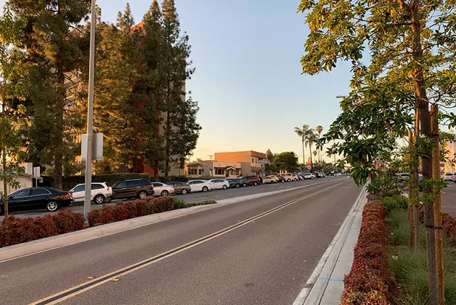 Paved street lined with parked cars and autumn trees