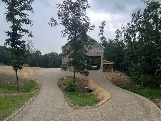 Tree-lined driveway leading into a wooded lot