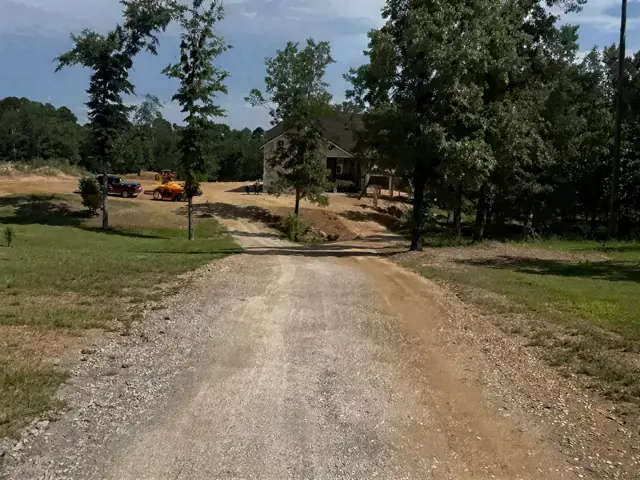 Narrow gravel road curving through tall trees